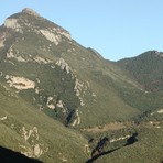 Puig de Bassegoda