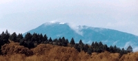 Marys Peak photo