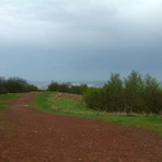 Walton Hill