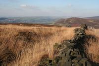 Harridge Pike photo