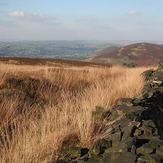 Harridge Pike