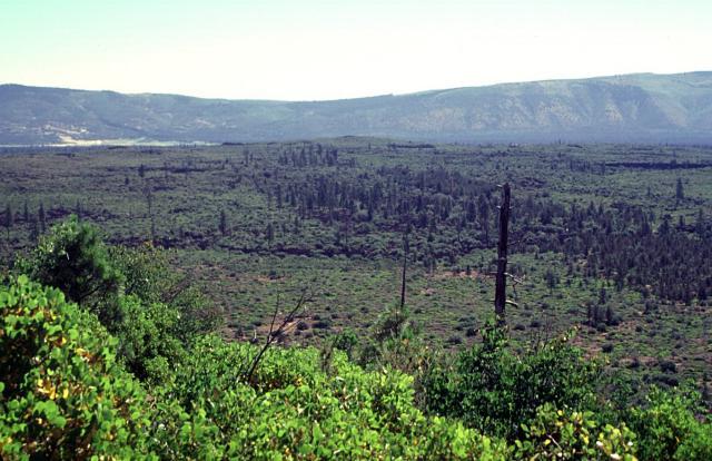 Brushy Butte