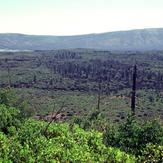 Brushy Butte