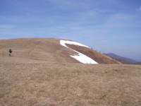 Max Patch photo