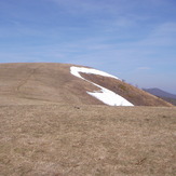 Max Patch