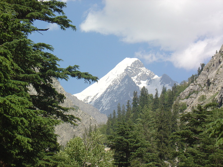 Falak Sher weather