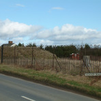 Ruardean Hill