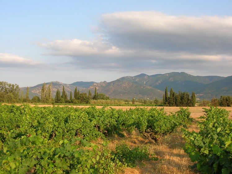 Albera Massif