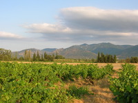 Albera Massif photo