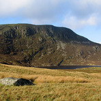 Arenig Fach