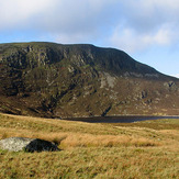 Arenig Fach