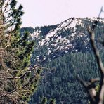 Snow Mountain East