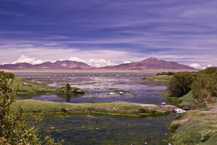 Nevados de Poquis