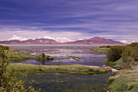 Nevados de Poquis photo