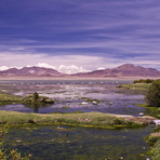 Nevados de Poquis