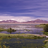 Nevados de Poquis