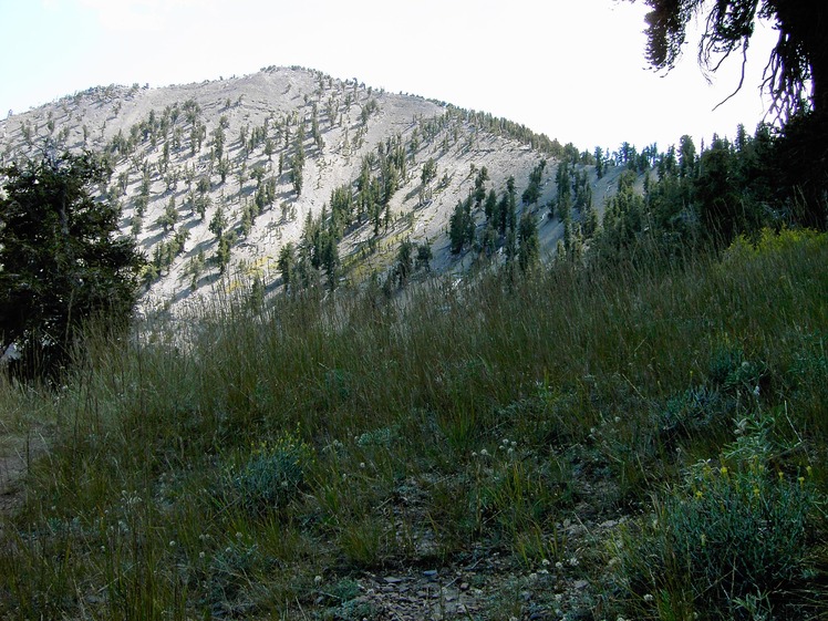 Griffith Peak weather