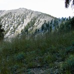 Griffith Peak