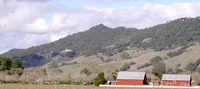 Taylor Mountain (Sonoma County, California) photo