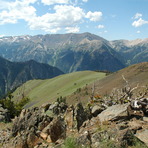 Sacajawea Peak