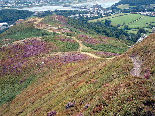 Mynydd y Dref weather