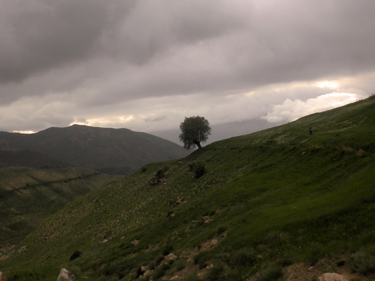 Ali Saeidi NeghabeKoohestaN, Damavand (دماوند)