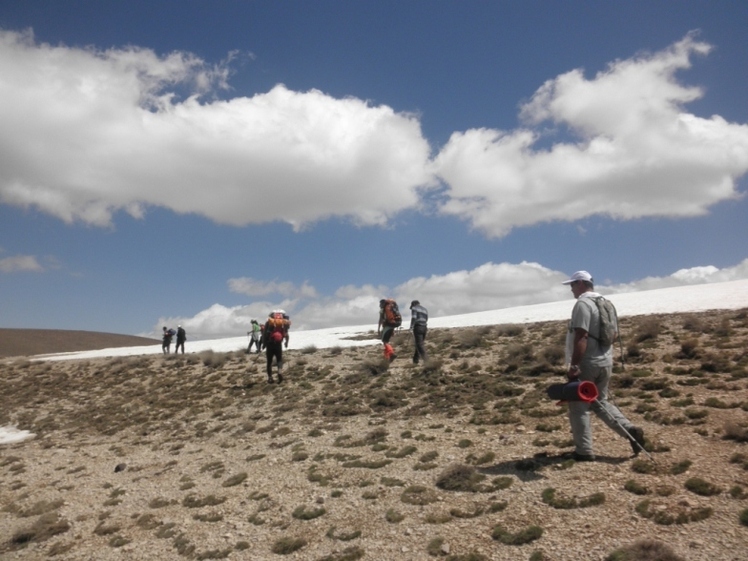 Ali Saeidi NeghabeKoohestaN, Damavand (دماوند)