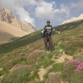 Ali Saeidi NeghabeKoohestaN, Damavand (دماوند)