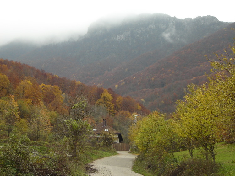 Road to the forest ..., Trem - Suva planina