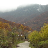 Road to the forest ..., Trem - Suva planina