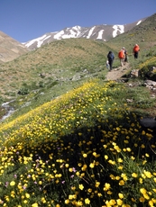 Ali Saeidi NeghabeKoohestaN, Borj photo