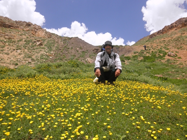 Ali Saeidi NeghabeKoohestaN, Damavand (دماوند)