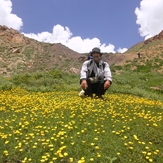 Ali Saeidi NeghabeKoohestaN, Damavand (دماوند)