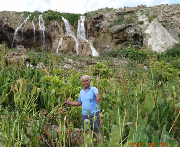 Ali Saeidi NeghabeKoohestaN, Damavand (دماوند)