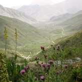Ali Saeidi NeghabeKoohestaN, Damavand (دماوند)