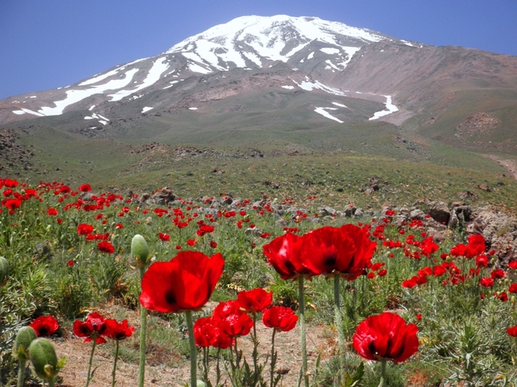 Ali  Saeidi  NeghabeKoohestaN, Damavand (دماوند)