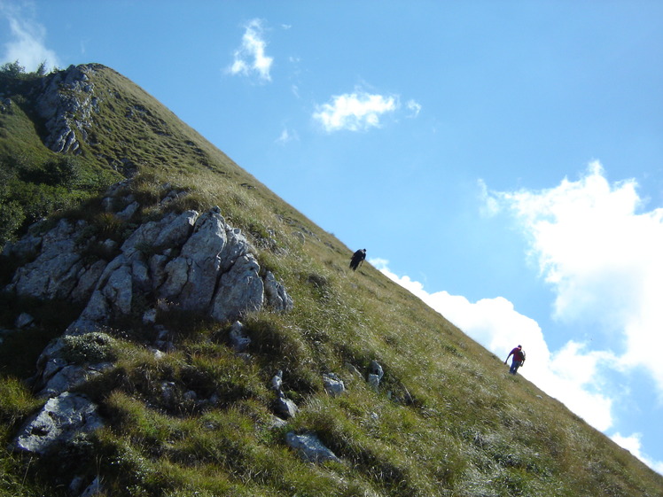 Slope, Trem - Suva planina