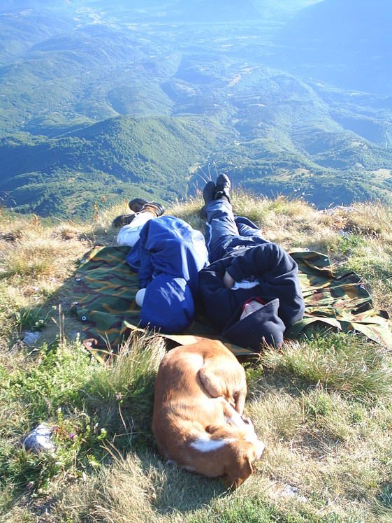 Between reality and the dream ..., Trem - Suva planina