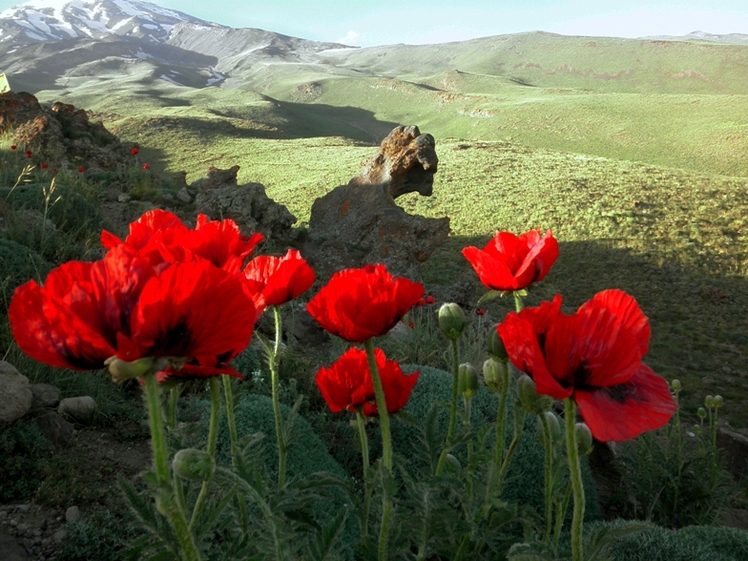 Ali  Saeidi  NeghabeKoohestaN, Damavand (دماوند)