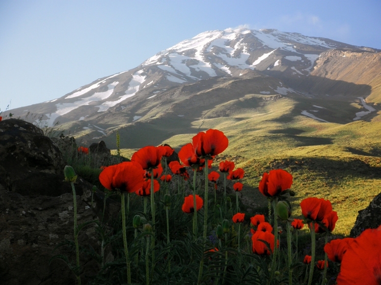 Ali  Saeidi  NeghabeKoohestaN, Damavand (دماوند)