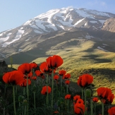 Ali  Saeidi  NeghabeKoohestaN, Damavand (دماوند)