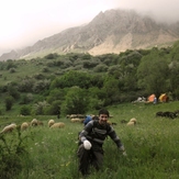 Ali   Saeidi   NeghabekoohestaN, Damavand (دماوند)