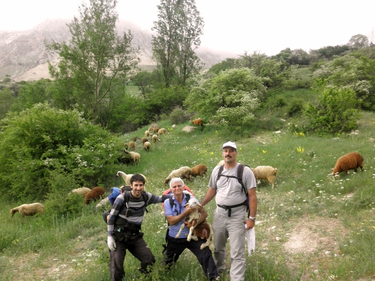 Ali   Saeidi   NeghabekoohestaN, Damavand (دماوند)