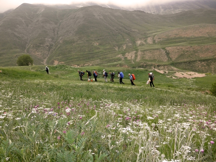 Ali   Saeidi   NeghabekoohestaN, Damavand (دماوند)