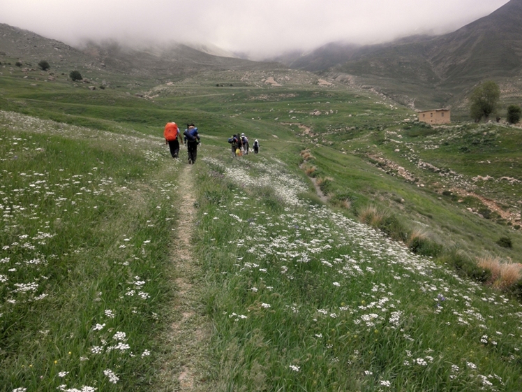 Ali   Saeidi   NeghabekoohestaN, Damavand (دماوند)