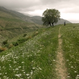 Ali   Saeidi   NeghabekoohestaN, Damavand (دماوند)