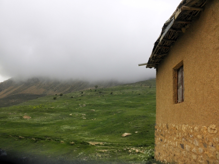 Ali   Saeidi   NeghabekoohestaN, Damavand (دماوند)