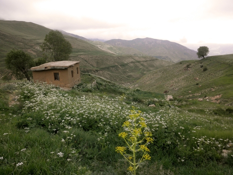 Ali   Saeidi   NeghabekoohestaN, Damavand (دماوند)