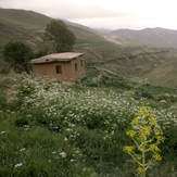 Ali   Saeidi   NeghabekoohestaN, Damavand (دماوند)