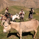 Ali   Saeidi   NeghabekoohestaN, Tochal